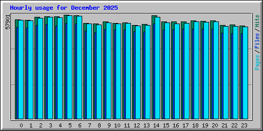 Hourly usage for December 2025